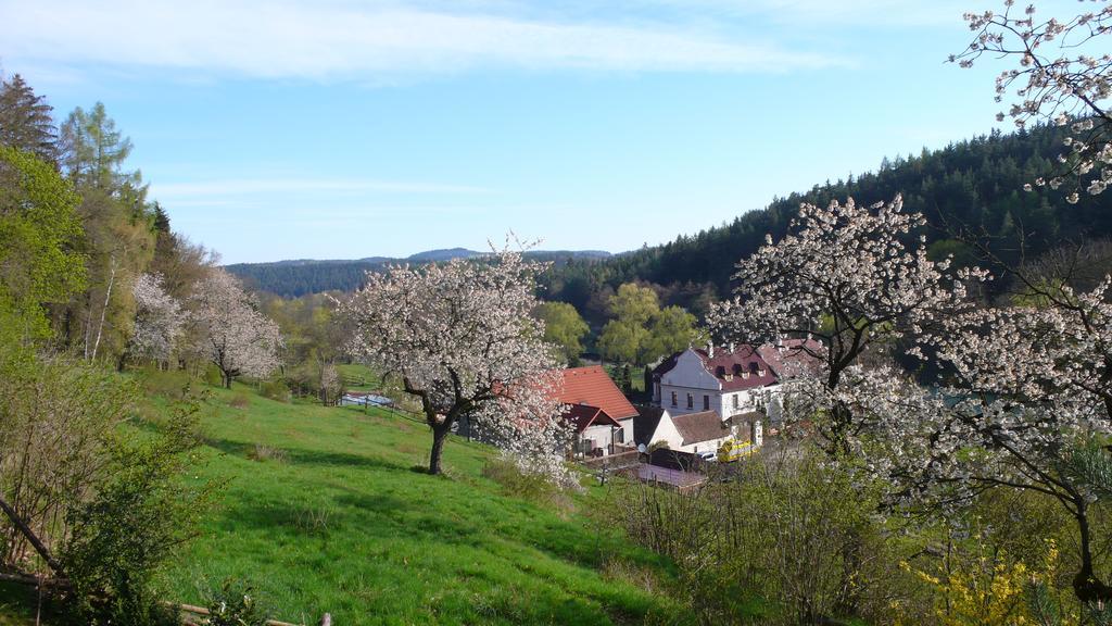 Penzion Padrtuv Mlyn Trebic Exterior foto